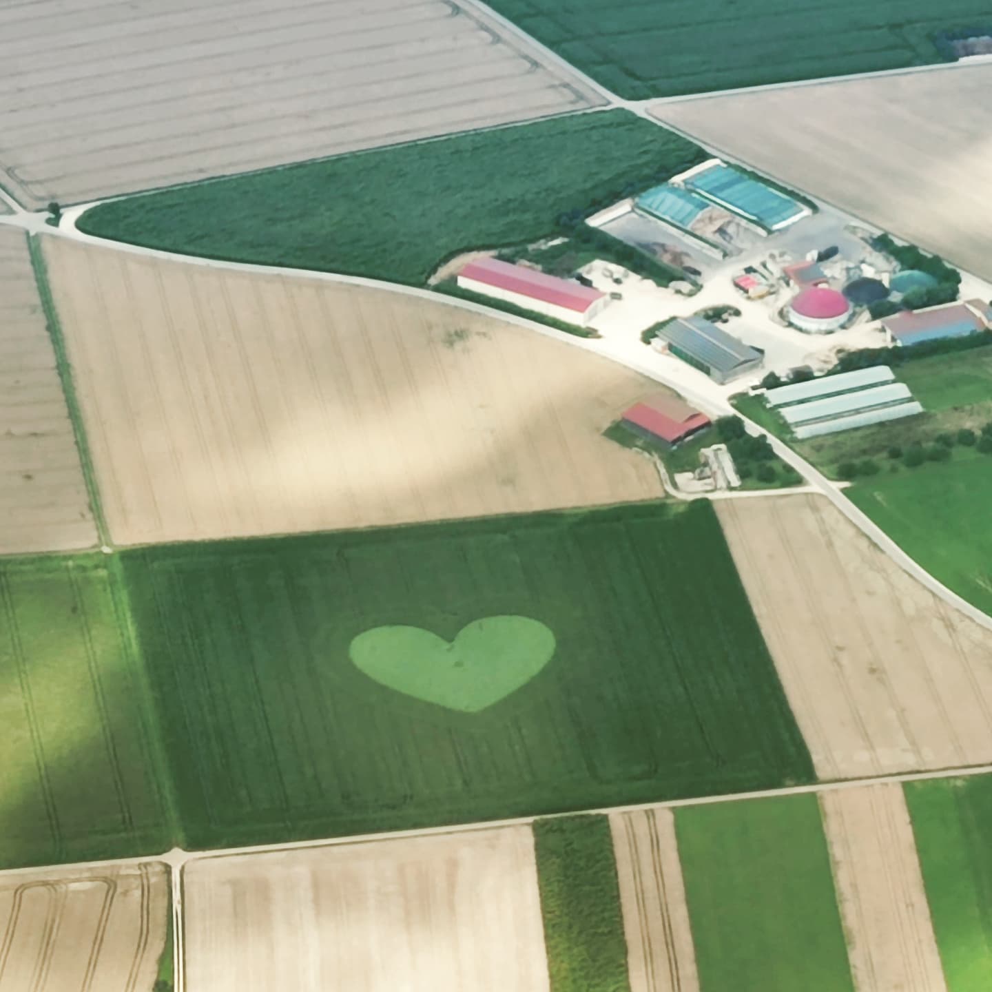 Sowas sieht man nur von oben! 🛩️ Ein seltener Schnappschuss aus unserem Fluglager letzte Woche bei dem @fsvgerstetten ! #heart #flying #soar